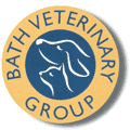 BVG_Logo.gif